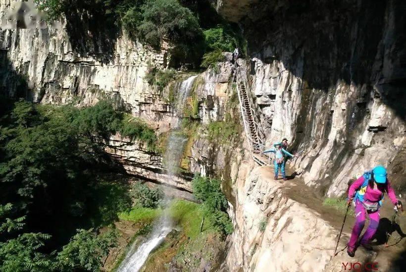 河北沧县:果蔬飘香春意浓